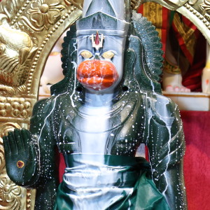 Annual Abhisheka Sri Marakata Hanuman