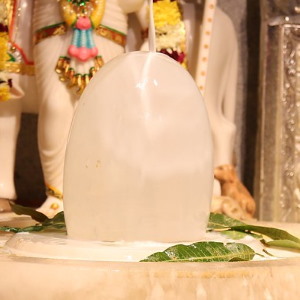 Abhisheka Sri Siva (Rudrabhisheka)
