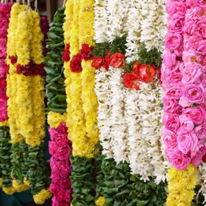 Nitya Flower Seva